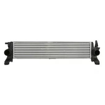 Intercooler, échangeur THERMOTEC DAM034TT