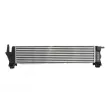 Intercooler, échangeur THERMOTEC DAM034TT - Visuel 2