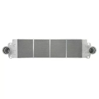 Intercooler, échangeur THERMOTEC DAW007TT