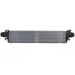 Intercooler, échangeur THERMOTEC DAX039TT - Visuel 1