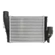 Intercooler, échangeur THERMOTEC DAX042TT - Visuel 1
