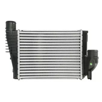 Intercooler, échangeur THERMOTEC DAX042TT