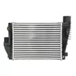 Intercooler, échangeur THERMOTEC DAX042TT - Visuel 2