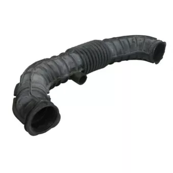 Durite de radiateur THERMOTEC DCG052TT