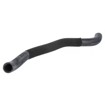 Durite de radiateur THERMOTEC DW0318TT