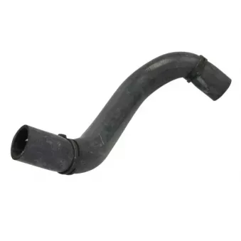 Durite de radiateur THERMOTEC DW0544TT