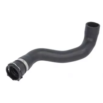 Durite de radiateur THERMOTEC DWB328TT