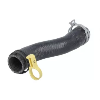 Durite de radiateur THERMOTEC DWB331TT