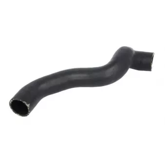 Durite de radiateur THERMOTEC DWM043TT
