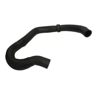 Durite de radiateur THERMOTEC DWW445TT