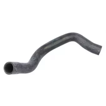 Durite de radiateur THERMOTEC DWW547TT