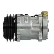 Compresseur, climatisation THERMOTEC KTT090162 - Visuel 1