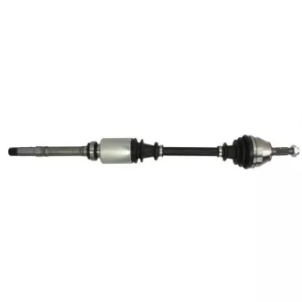 Arbre de transmission avant droit PASCAL G2C054PC