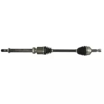 Arbre de transmission avant droit PASCAL G2R146PC