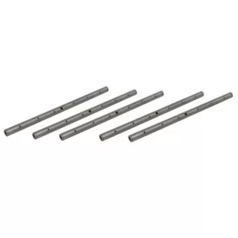 Roue dentée, arbre de commande de distributeur BTA B05-AG-301
