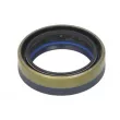 Bague d'étanchéité, arbre de transmission BTA B05-AG-362 - Visuel 2