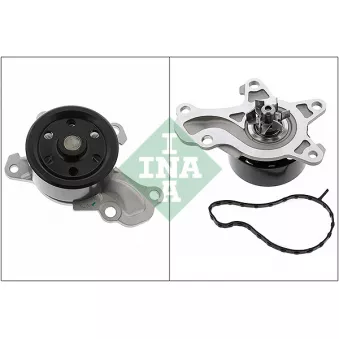 Pompe à eau, refroidissement du moteur INA