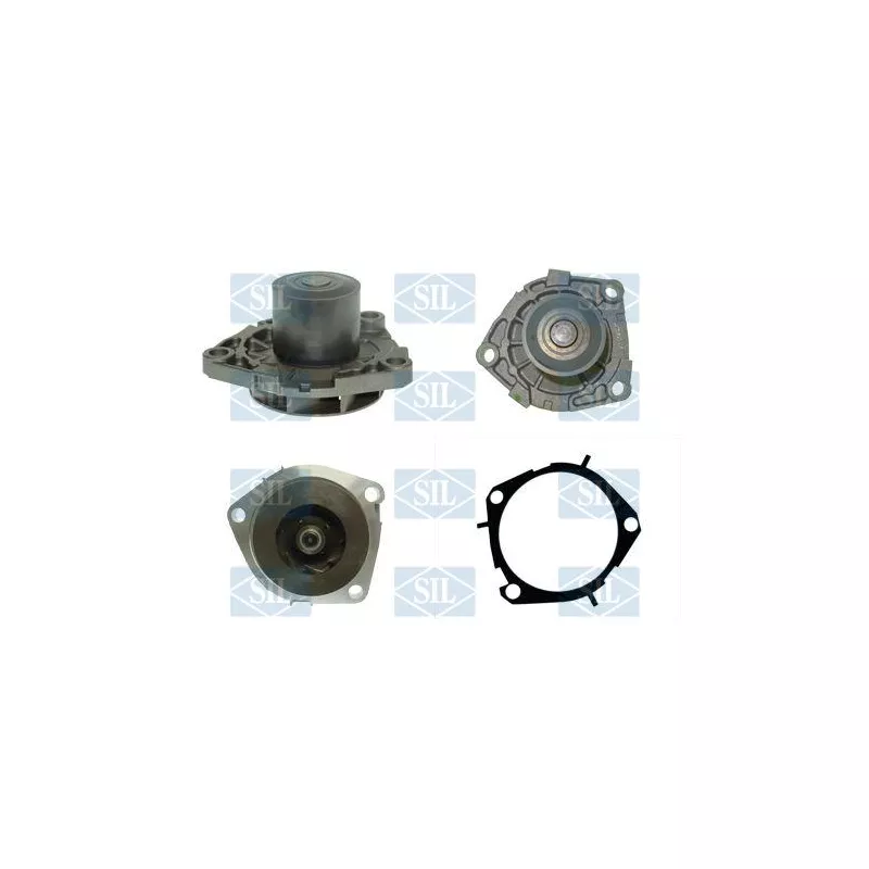 Pompe à eau Saleri SIL PA1246