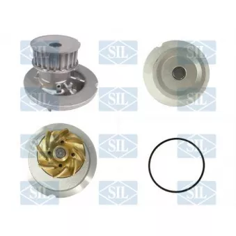 Pompe à eau Saleri SIL PA1496