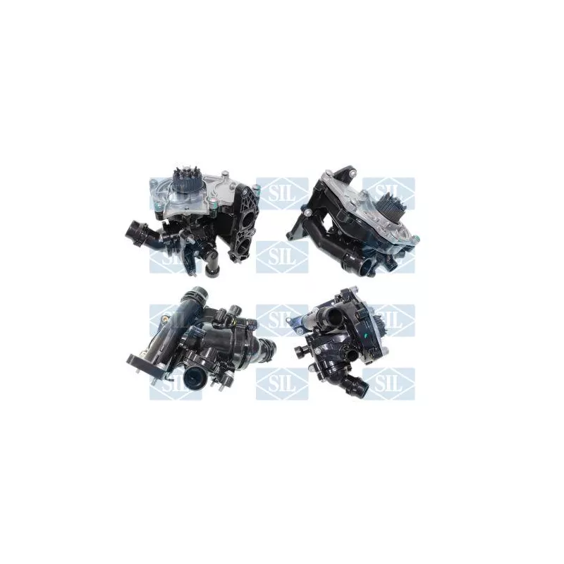 Kit pompe à eau Saleri SIL PA1532BH