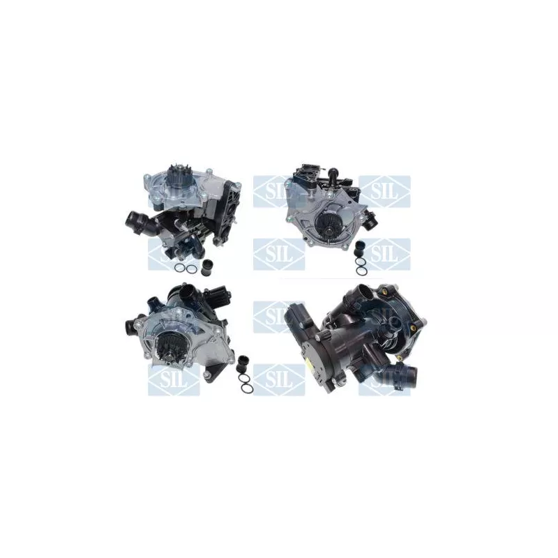 Kit pompe à eau Saleri SIL PA1532BH1