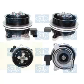 Pompe à eau, refroidissement du moteur Saleri SIL PA1574
