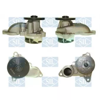 Pompe à eau Saleri SIL PA1577