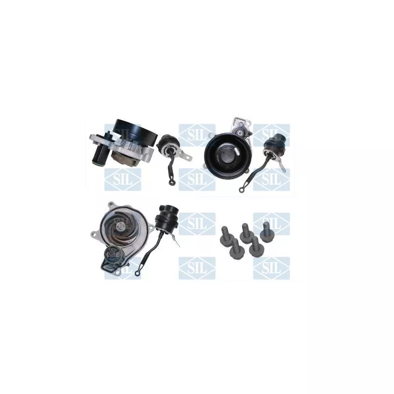 Pompe à eau, refroidissement du moteur Saleri SIL PA1622