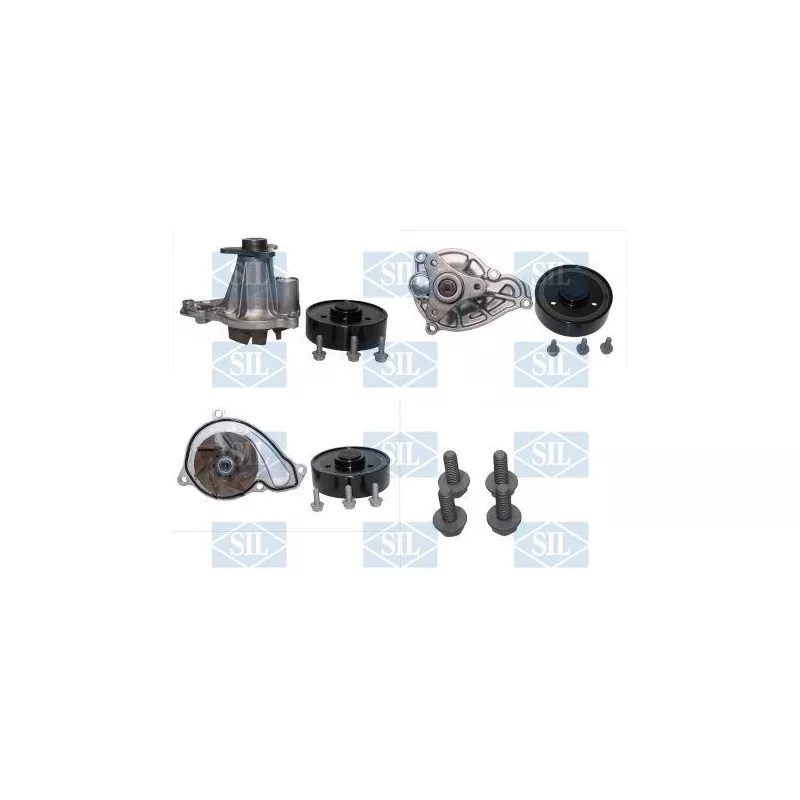 Pompe à eau, refroidissement du moteur Saleri SIL PA1624