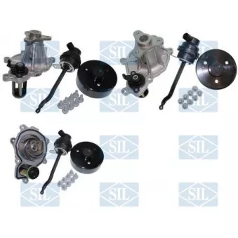 Pompe à eau, refroidissement du moteur Saleri SIL