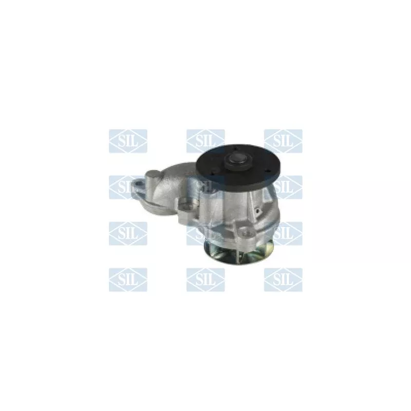 Pompe à eau Saleri SIL PA1641