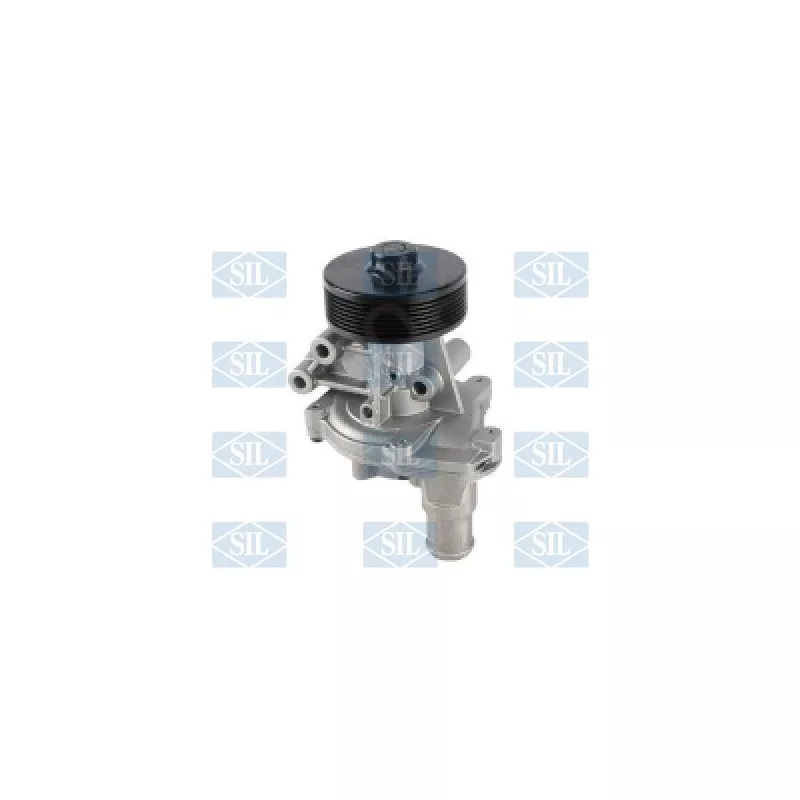 Pompe à eau Saleri SIL PA1642