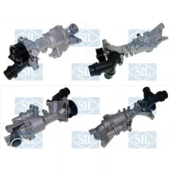 Pompe à eau, refroidissement du moteur Saleri SIL