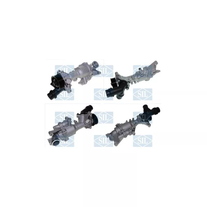Pompe à eau, refroidissement du moteur Saleri SIL PA1741