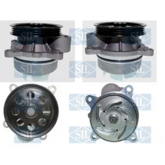 Pompe à eau, refroidissement du moteur Saleri SIL