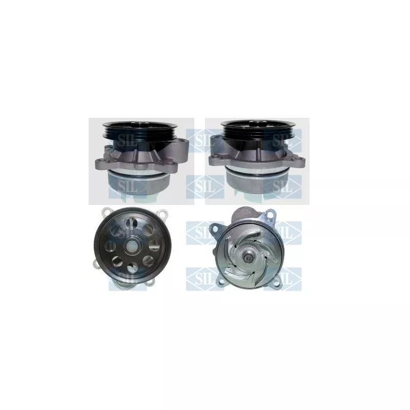 Pompe à eau, refroidissement du moteur Saleri SIL PA1754