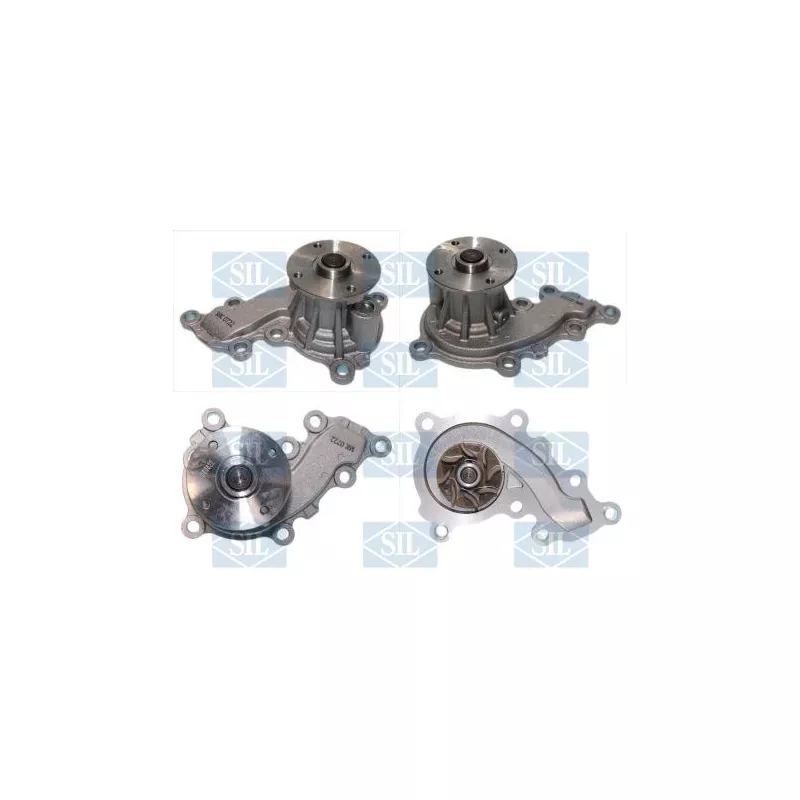 Pompe à eau, refroidissement du moteur Saleri SIL PA1761