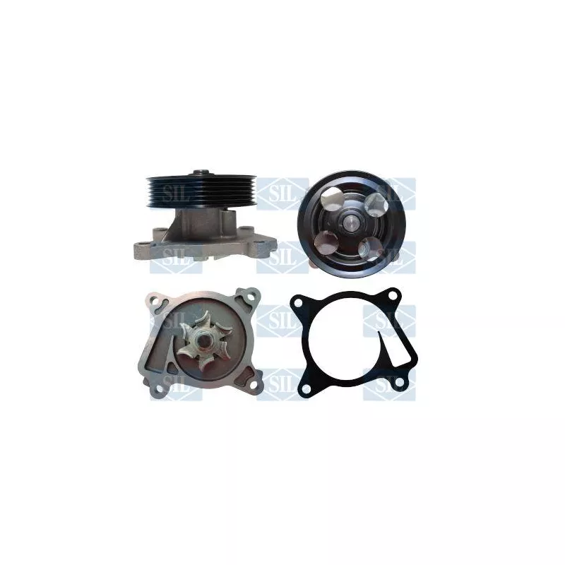 Pompe à eau, refroidissement du moteur Saleri SIL PA1763
