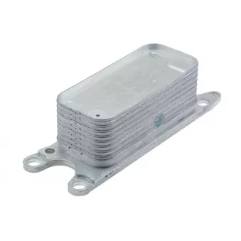 Radiateur d'huile TEKNÖR CCL-CH-015