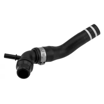 Durite de radiateur TEKNÖR CPP-FT-011