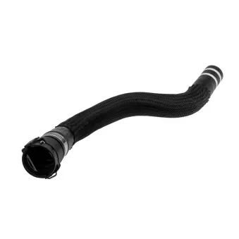 Durite de radiateur TEKNÖR CPP-FT-013