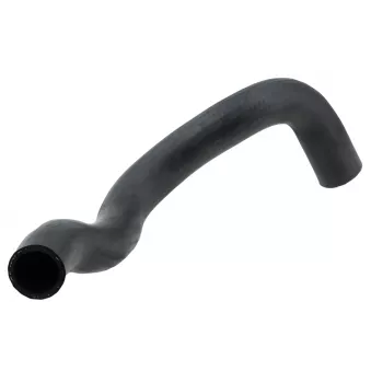 Durite de radiateur TEKNÖR CPP-PL-005