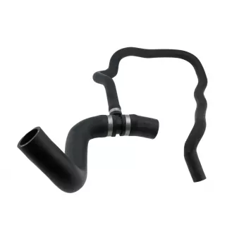 Durite de radiateur TEKNÖR CPP-PL-006