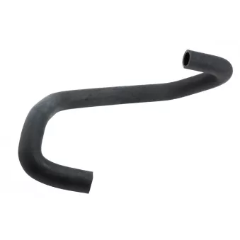 Durite de radiateur TEKNÖR CPP-RE-005