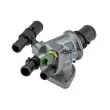 Thermostat d'eau TEKNÖR CTM-FT-015 - Visuel 1