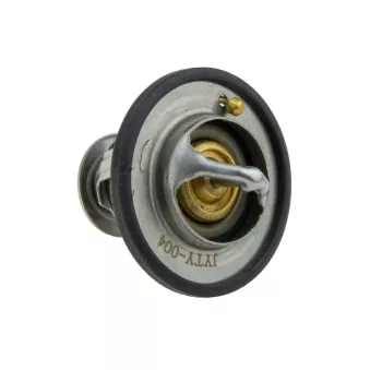 Thermostat d'eau TEKNÖR CTM-TY-004