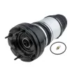 Ressort pneumatique, châssis TEKNÖR EZC-PS-012 - Visuel 2