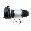 Ressort pneumatique, châssis TEKNÖR EZC-PS-012 - Visuel 3