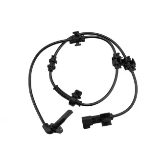 Capteur, vitesse de roue arrière TEKNÖR HCA-PL-019