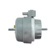 Support moteur TEKNÖR ZPS-AU-011 - Visuel 3